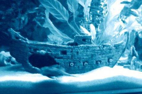 4-FC0BD78F-378870-480